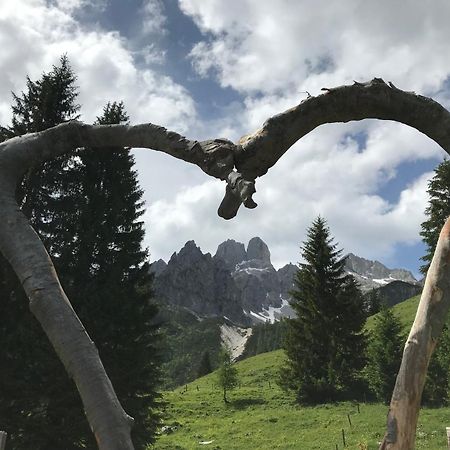 Chalet Kleinbergsonne Filzmoos Kültér fotó