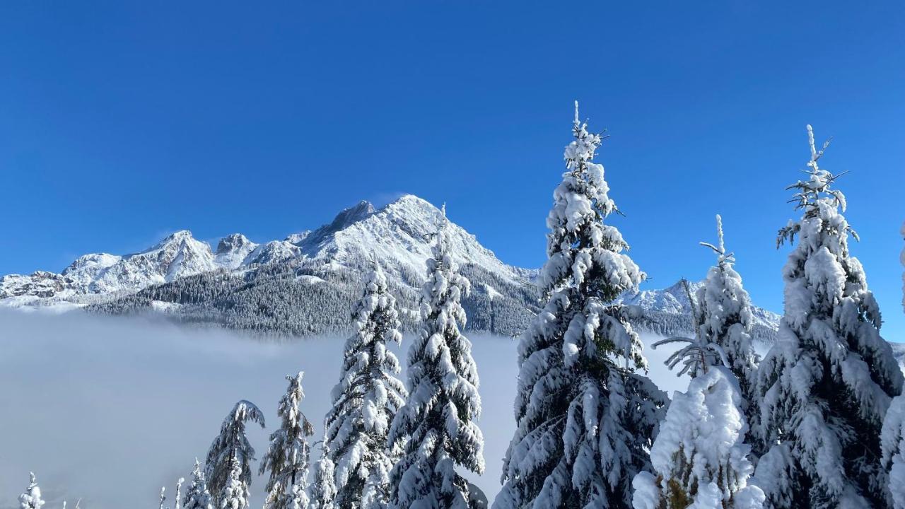 Chalet Kleinbergsonne Filzmoos Kültér fotó