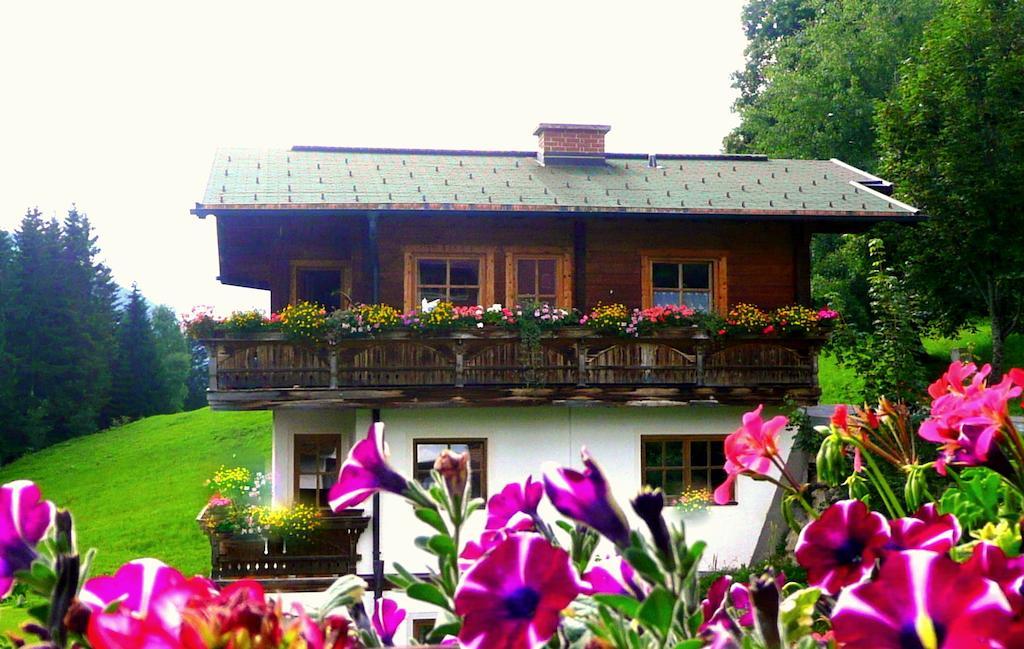 Chalet Kleinbergsonne Filzmoos Kültér fotó